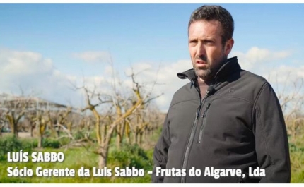 Agricultura, um Ativo Estratégico para o Algarve