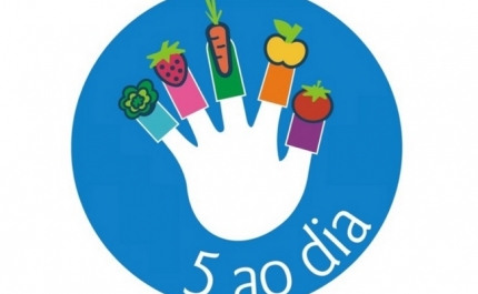 4000 Crianças já participaram no Programa 5 ao Dia
