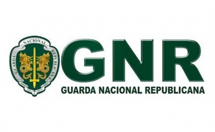 11 Identificados por captura ilegal de bivalves