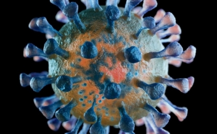 Covid-19: Algarve hoje com 61 novos casos de COVID-19