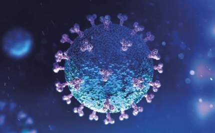 Covid-19: Algarve hoje com 549 novos casos e 4 vítimas mortais