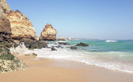 Proposta para criação de Parque Marinho do Algarve é entregue hoje ao Governo