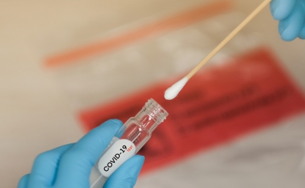Parlamento debate proposta de inquérito sobre gestão da pandemia em 02 de dezembro