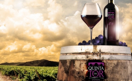 «Quinta da Tôr» | Mário Santos, um empresário que aposta no vinho louletano