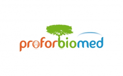 Mercado de biomassa do Algarve e Baixo Alentejo dá os primeiros passos