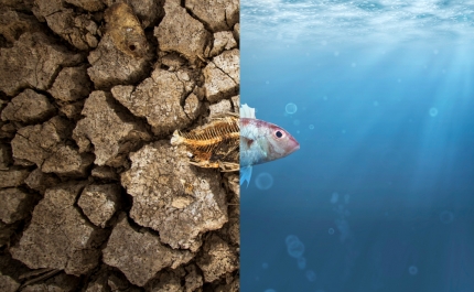 Crise climática e direitos humanos dominam «Encontros do DeVIR» no Algarve
