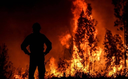Incêndios: Vinte e um concelhos de quatro distritos em risco máximo