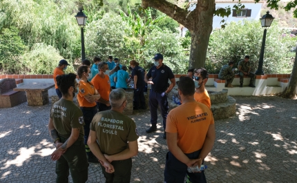 JOVENS VIGILANTES DA FLORESTA ASSINALAM DIA NACIONAL DA CONSERVAÇÃO DA NATUREZA