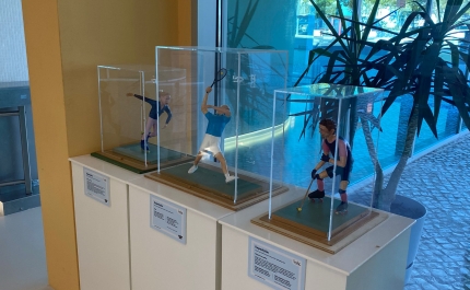 PAVILHÃO RECEBE EXPOSIÇÃO «LOULÉ, CIDADE EUROPEIA DO DESPORTO 2015» DE FRANCISCO JOSÉ 