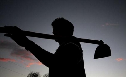 Agricultores com seguro de colheitas e de compensação de sinistralidade com mais apoios