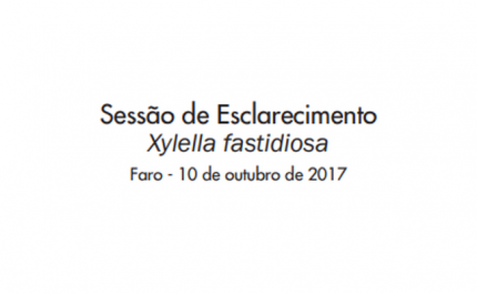 Sessão de Esclarecimento Xylella fastidiosa