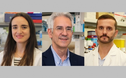 COLESTEROL EM EXCESSO NO CÉREBRO TEM IMPACTO EM DOENÇAS NEURODEGENERATIVAS