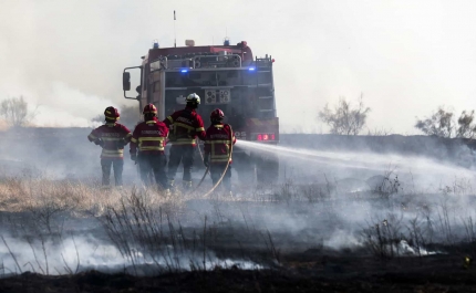 Incêndios: Liga dos Bombeiros diz que verba do PRR para combate é insuficiente
