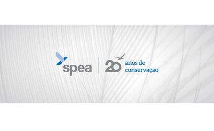 Algarve  representado na Birdfair