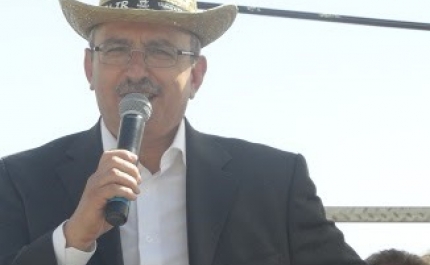 FESTA DA ESPIGA | SALIR  (141 FOTOS)