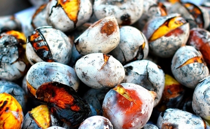 «Dominguinhos» feito de criatividade para o São Martinho