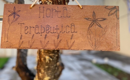 CMR Sul do CHUA aposta em Horta Terapêutica na reabilitação de utentes