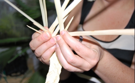 APRENDER A ENTRELAÇAR A PALMA COM O LOULÉ CRIATIVO