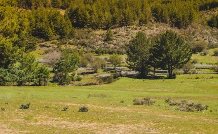 Lei dos solos alterada para se construir casas em terrenos rústicos