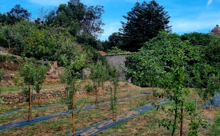Campo experimental do Pêro de Monchique -  Uma aposta do concelho
