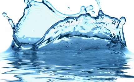 Algarve vai acolher fórum sobre água e consumo local a 19 de setembro