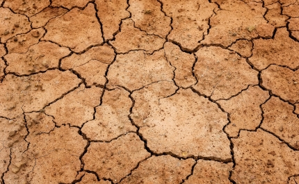 REPORTAGEM: Regadio no Algarve divide ambientalistas de autoridades e produtores