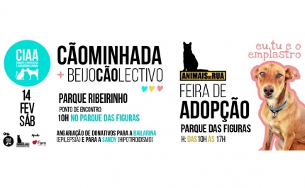 CÃOMINHADA E FEIRA DE ADOÇÃO 