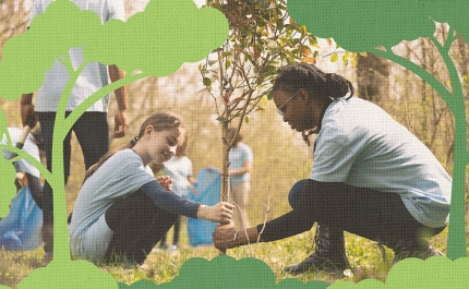 «Voluntariado Jovem para a Natureza e Florestas»