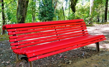 Covid-19: Permitida permanência em parques e bancos de jardim a partir de 2.ª feira