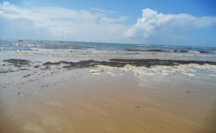 Três praias em Albufeira interditadas a banhos