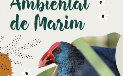 TURISMO DO ALGARVE INVESTE NA VALORIZAÇÃO DOS RECURSOS NATURAIS DA REGIÃO  