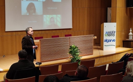 DRAP ALGARVE PROMOVE ENCONTRO SOBRE A RAÇA BOVINA ALGARVIA