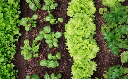 Agricultura Biológica em grande destaque na Biblioteca Municipal de Portimão 