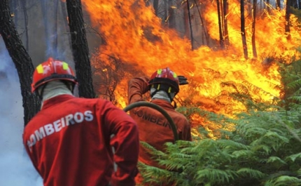 Incêndios: Fogo em Odemira ameaça estender-se a Silves, 17 pessoas retiradas preventivamente