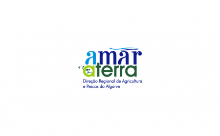 WORKSHOP «Dinamização de CCA e Estratégias Alimentares Territoriais»  