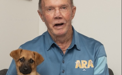 Animal Rescue Algarve «Chocada» com Situação dos Cães da Absol