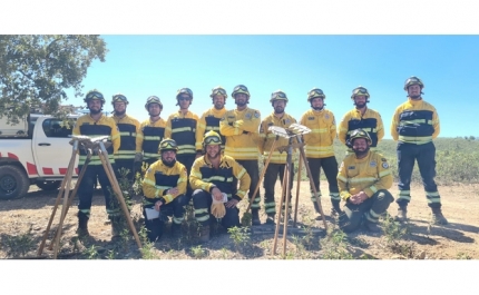 EQUIPAS QUE VÃO PROTEGER A FLORESTA JÁ COMEÇARAM A TRABALHAR