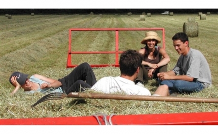 Comissão Europeia disponível para aumentar as ajudas aos Jovens Agricultores