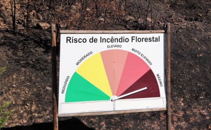 Comunidade educativa do Colégio Internacional de Vilamoura procede a entrega de bens da campanha Florescer Sorrisos  