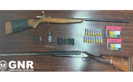 Loulé – Apreensão de armas em processo de violência doméstica