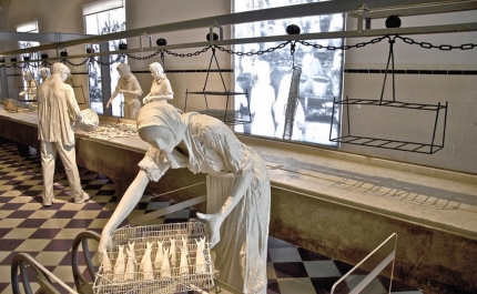 Museu de Portimão comemora o seu 7º aniversário com uma semana de atividades