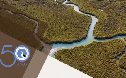 Reserva Natural do Sapal de Castro Marim e VRSA, a primeira do país, celebra 50 anos com atividades diversas e abertas à comunidade
