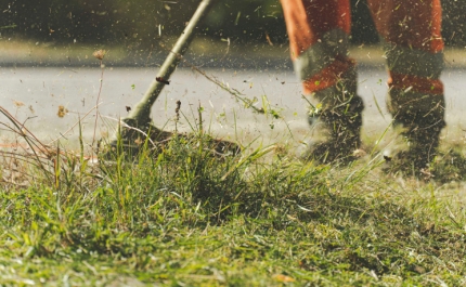 Prazo para limpeza de terrenos florestais termina a 30 de abril