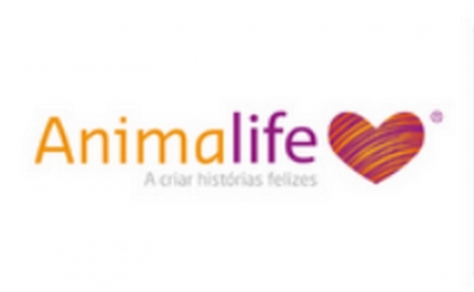Animalife anuncia Parcerias Solidárias e Iniciativas Especiais para um Natal mais feliz para os Animais