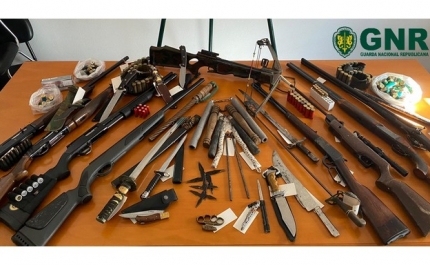 Apreensão de armas proibidas em processo de violência doméstica