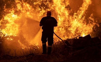 Incêndios/Algarve: Ainda se faz o balanço dos prejuízos e já chegaram os primeiros apoios