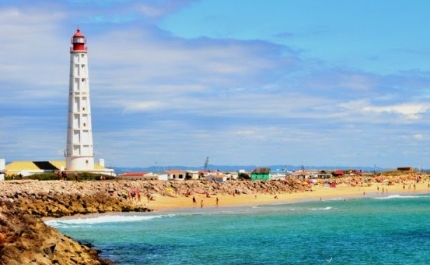 Camaleões levam Tribunal a suspender demolições na ilha do Farol