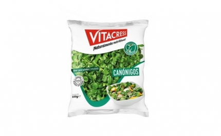 Agroalimentar | Vitacress tem novos produtos prontos a consumir