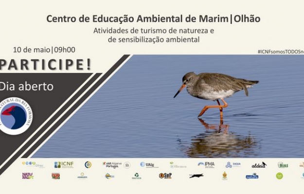 Caminhadas, passeios de barco e oficinas no Dia Aberto que celebra os 47 anos do Parque Natural da Ria Formosa 
