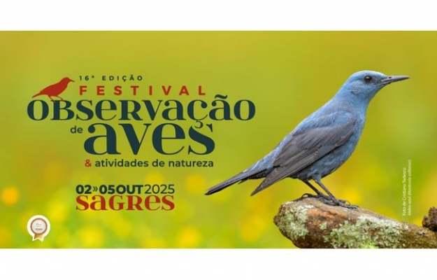 Abrem hoje as inscrições para o maior festival de aves e natureza do país